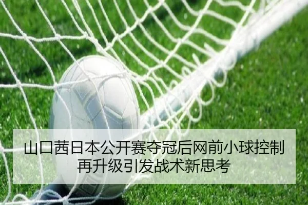 山口茜日本公开赛夺冠后网前小球控制再升级引发战术新思考 - kaiyun