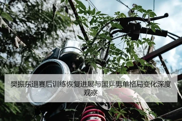 樊振东退赛后训练恢复进展与国乒男单格局变化深度观察 - kaiyun